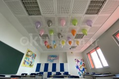 Özel Bahçeşehir Sevinç Koleji İlkokulu - 8