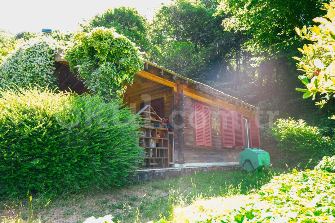 Özel Beykoz Doğa Koleji İlkokulu - 40