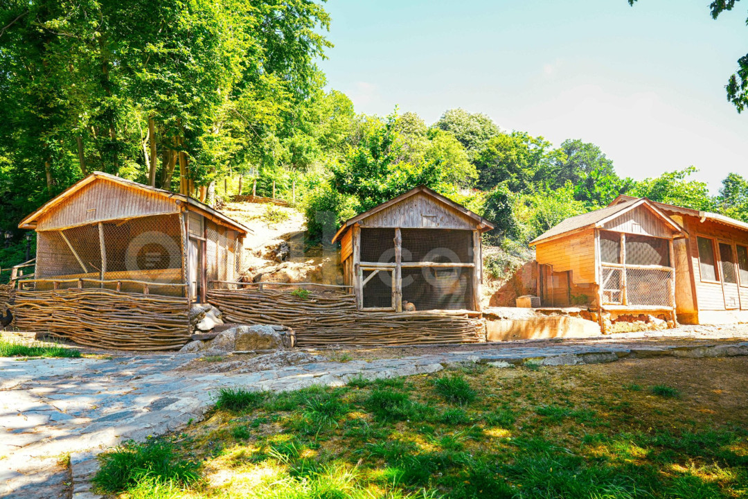 Özel Beykoz Doğa Koleji İlkokulu - 83