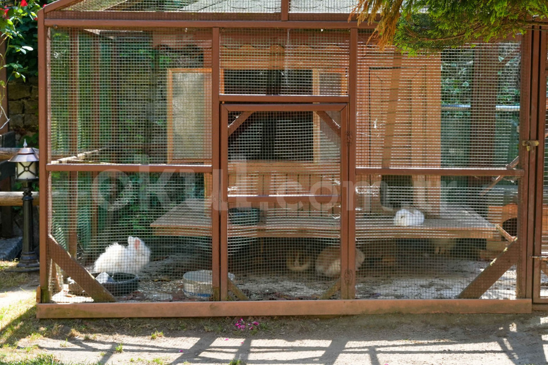 Özel Beykoz Doğa Koleji İlkokulu - 30