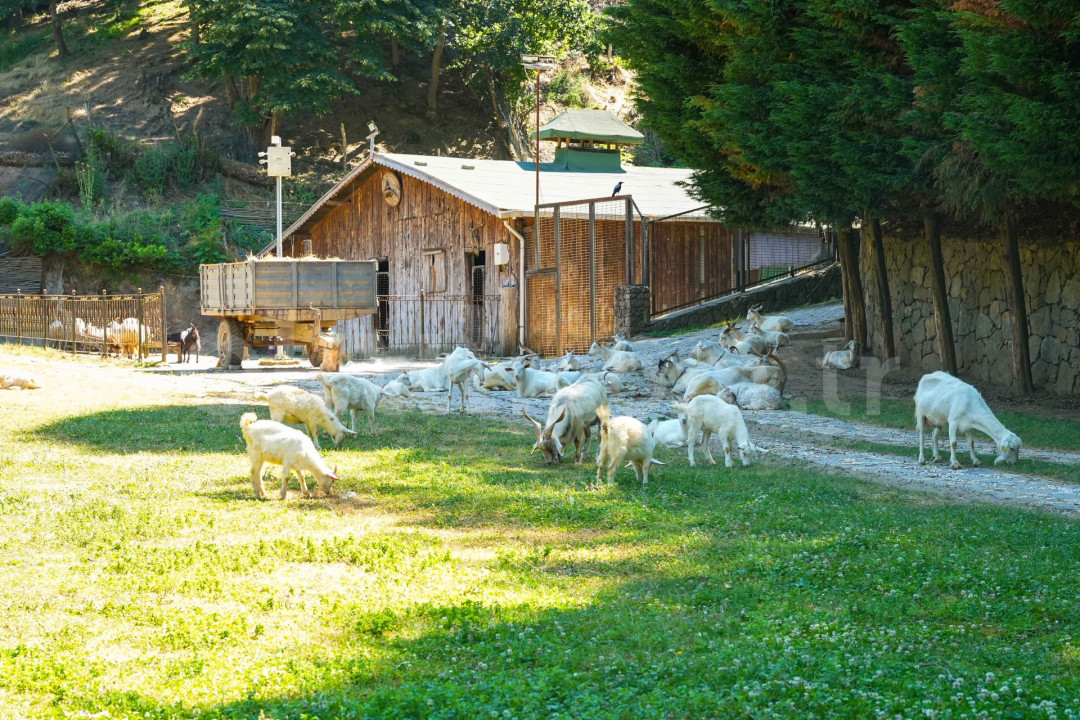Özel Beykoz Doğa Koleji İlkokulu - 79