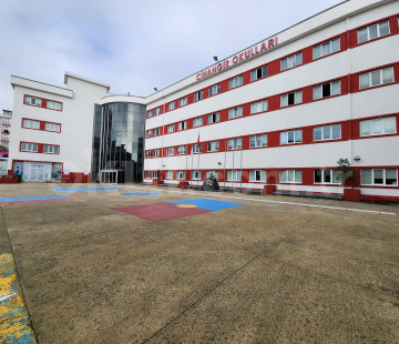 Genel Bakış