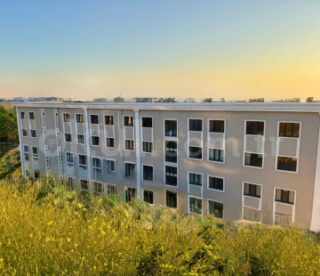 Genel Bakış