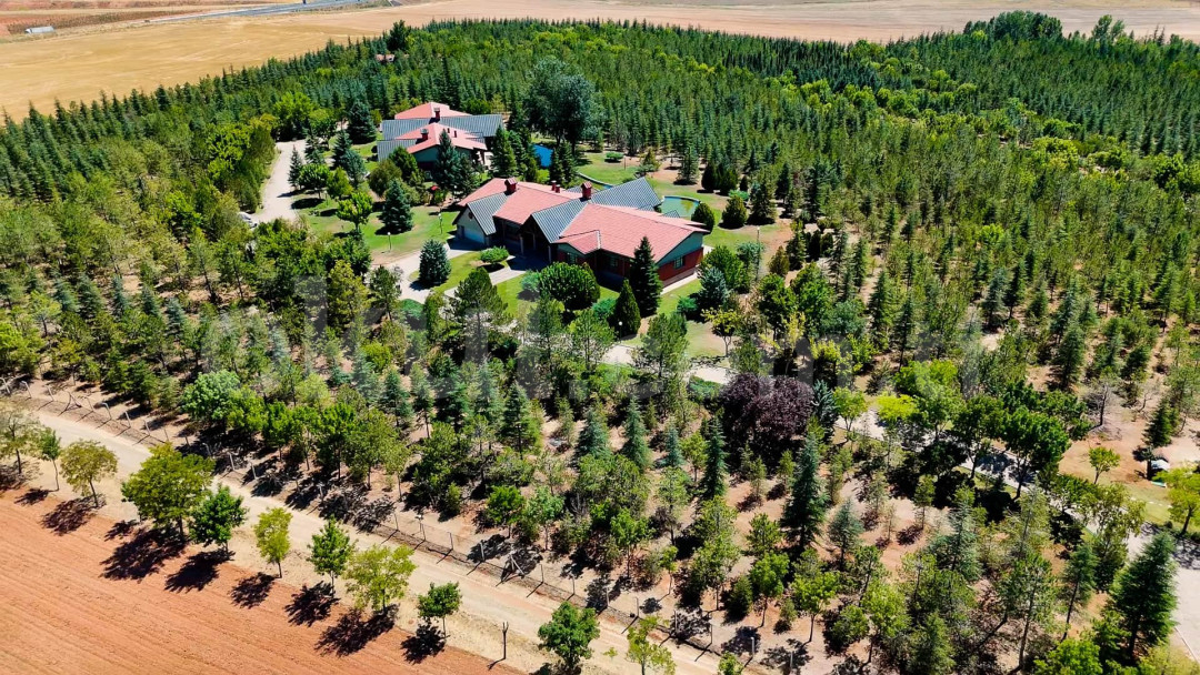 Özel İlkbahar Sihirli Bahçe Montessori Anaokulu - 18