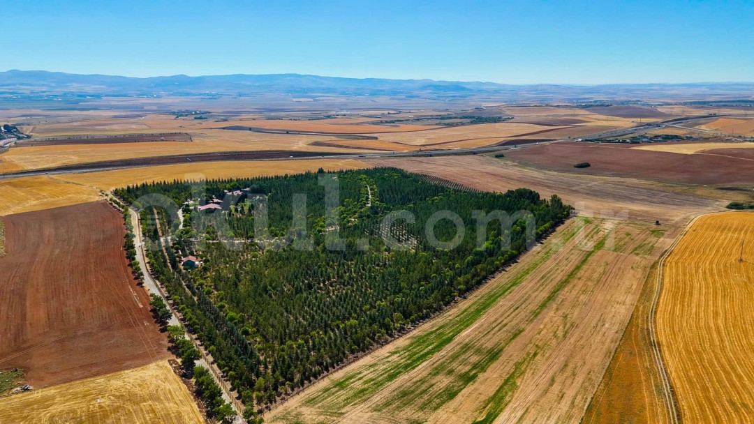 Özel İlkbahar Sihirli Bahçe Montessori Anaokulu - 11