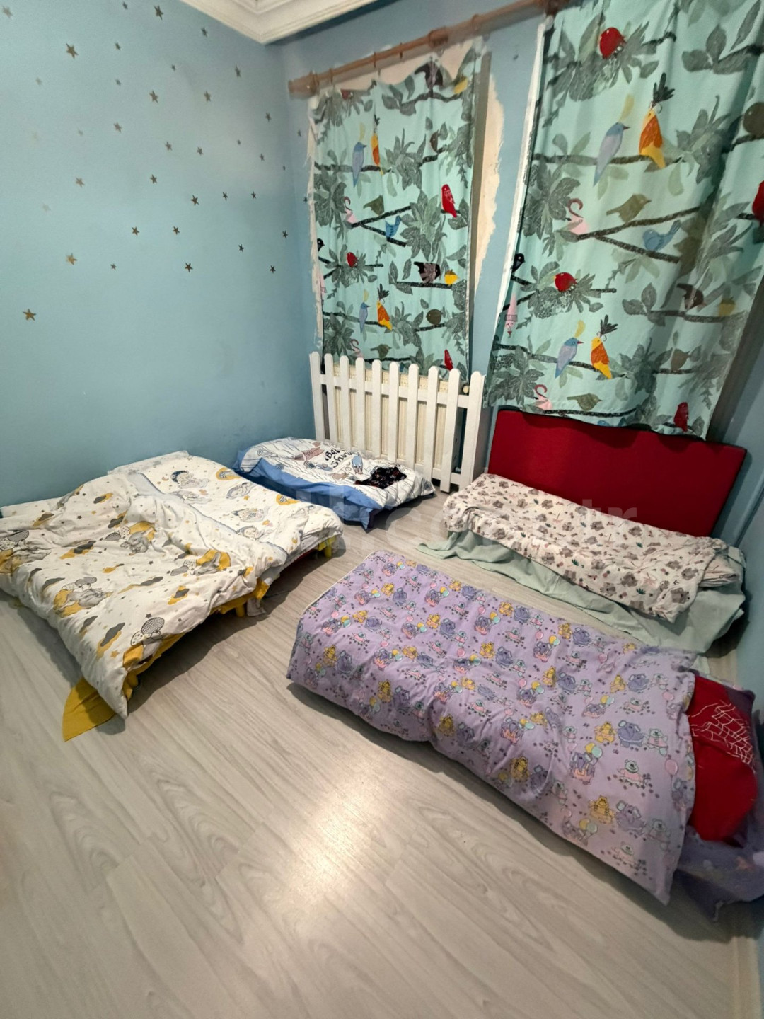Özel Sevimli Tırtıllar Anaokulu - 4