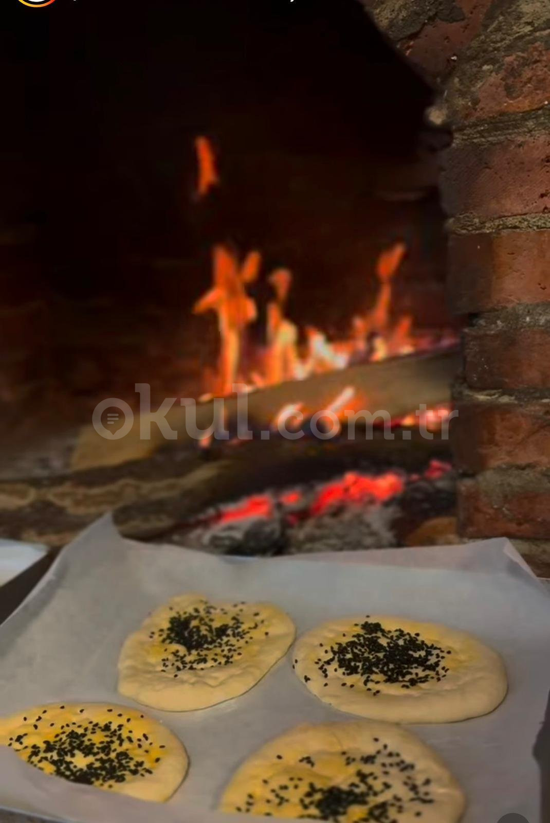 Özel Batıkent Botanik İngiliz Kültür Anaokulu - 17