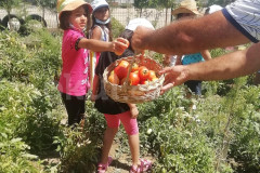 Özel Batıkent Botanik İngiliz Kültür Anaokulu