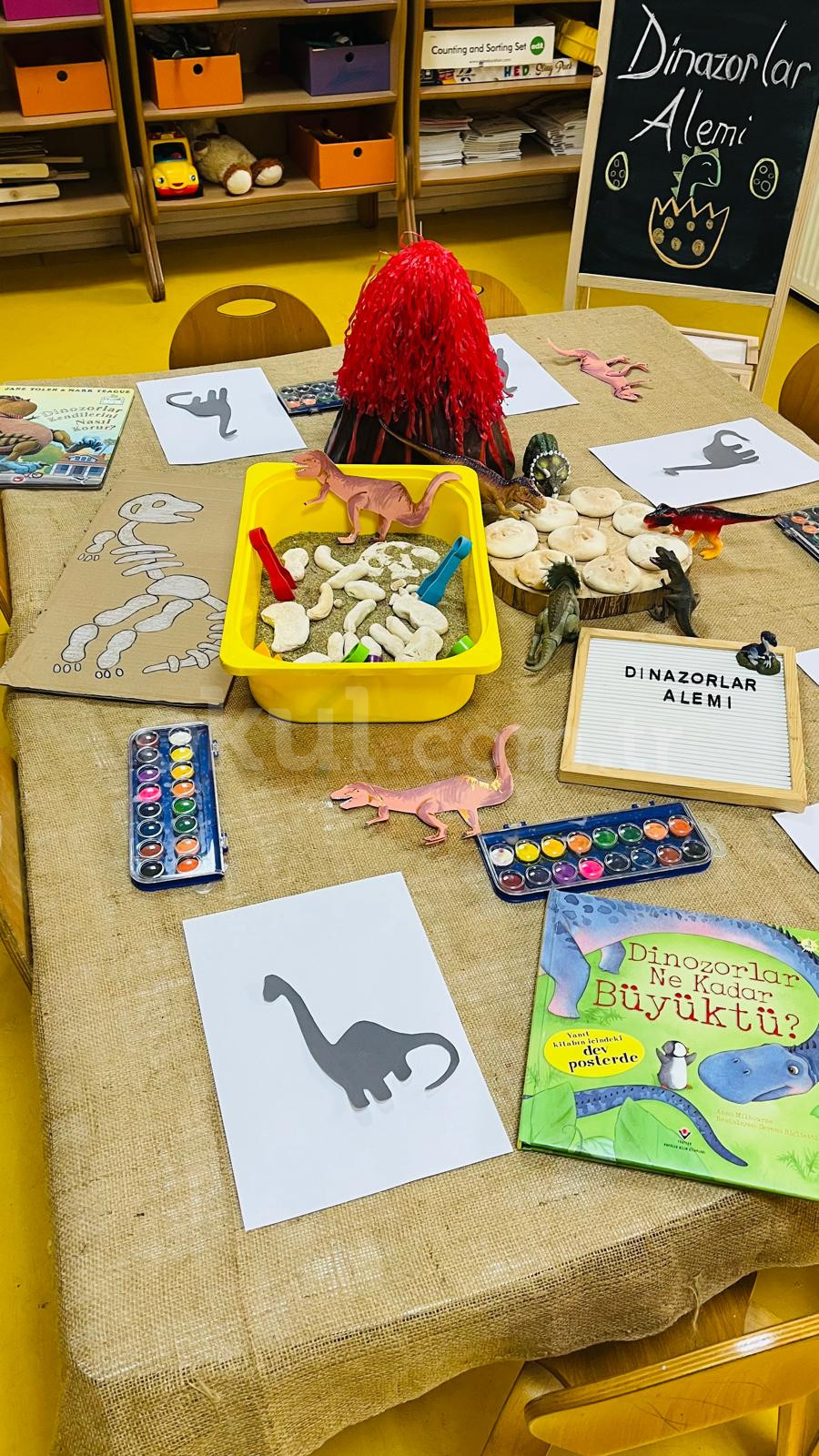 Özel Konyaaltı Renkli Düşler Anaokulu - 13