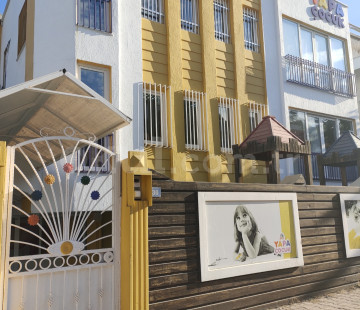 Genel Bakış