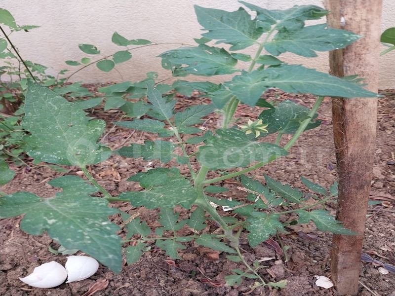 Özel Yağmur Abla Anaokulu - 41