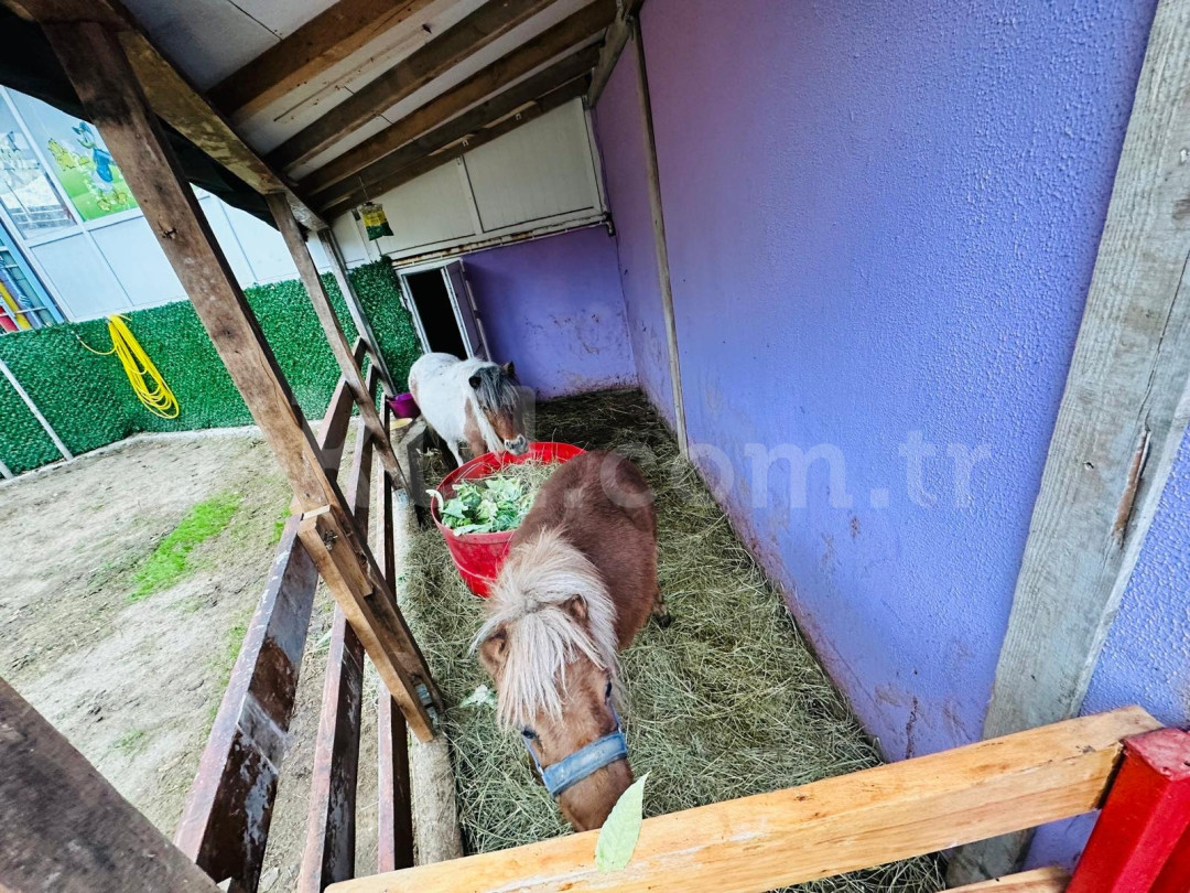 Özel Avcılar Milet Anaokulu - 54