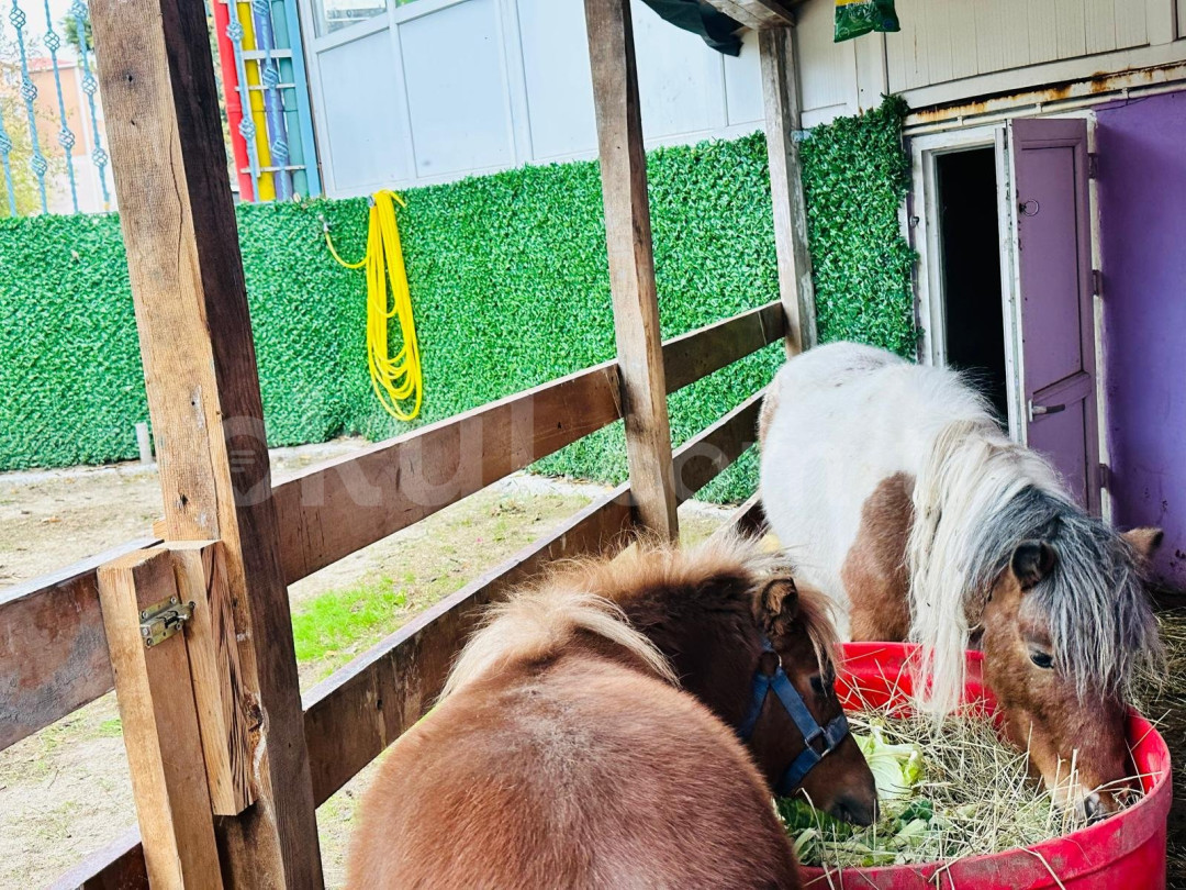 Özel Avcılar Milet Anaokulu - 53