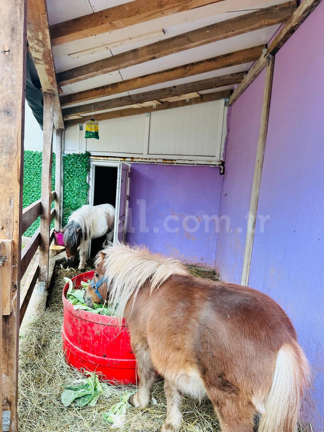 Özel Avcılar Milet Anaokulu - 42