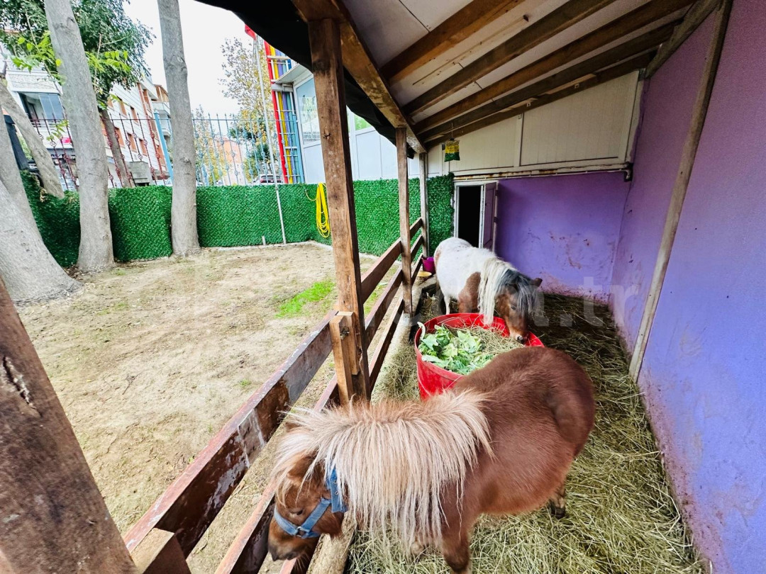 Özel Avcılar Milet Anaokulu - 55