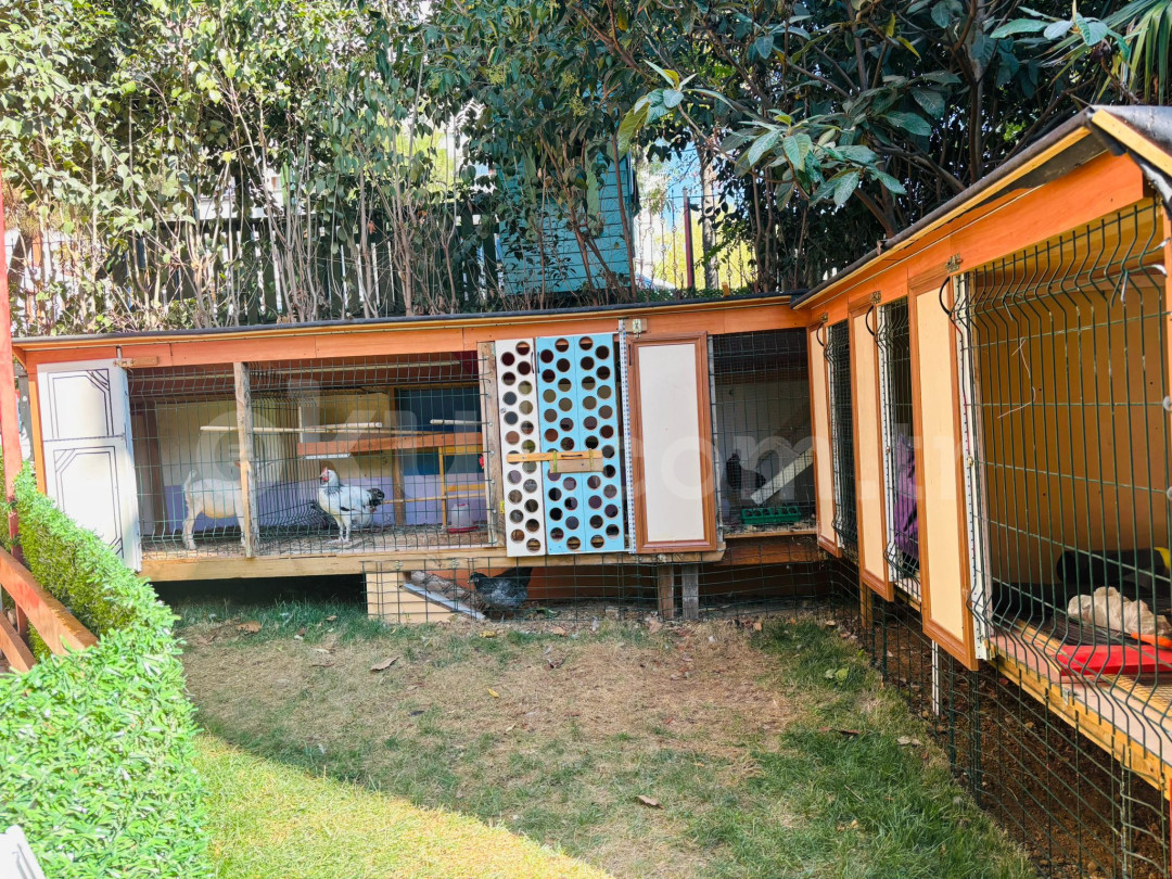 Özel Avcılar Milet Anaokulu - 6