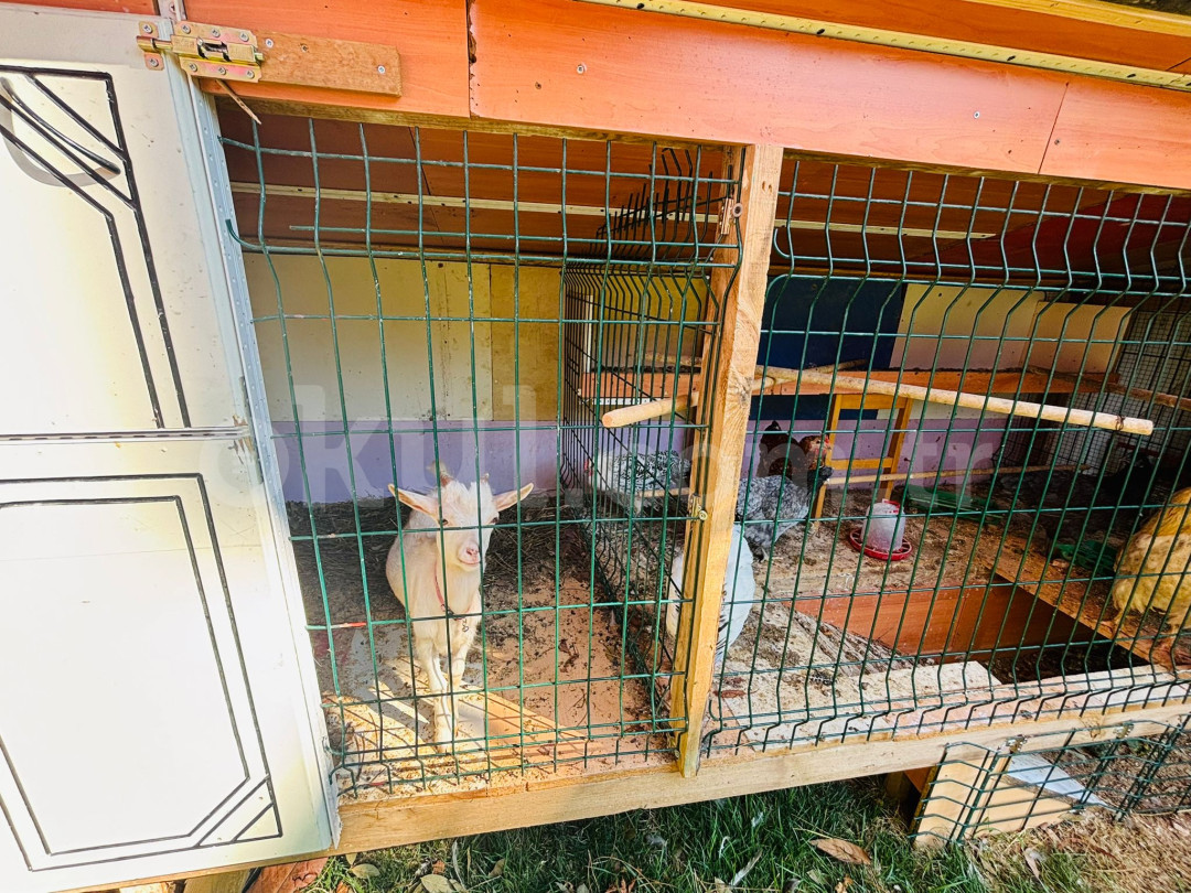 Özel Avcılar Milet Anaokulu - 7