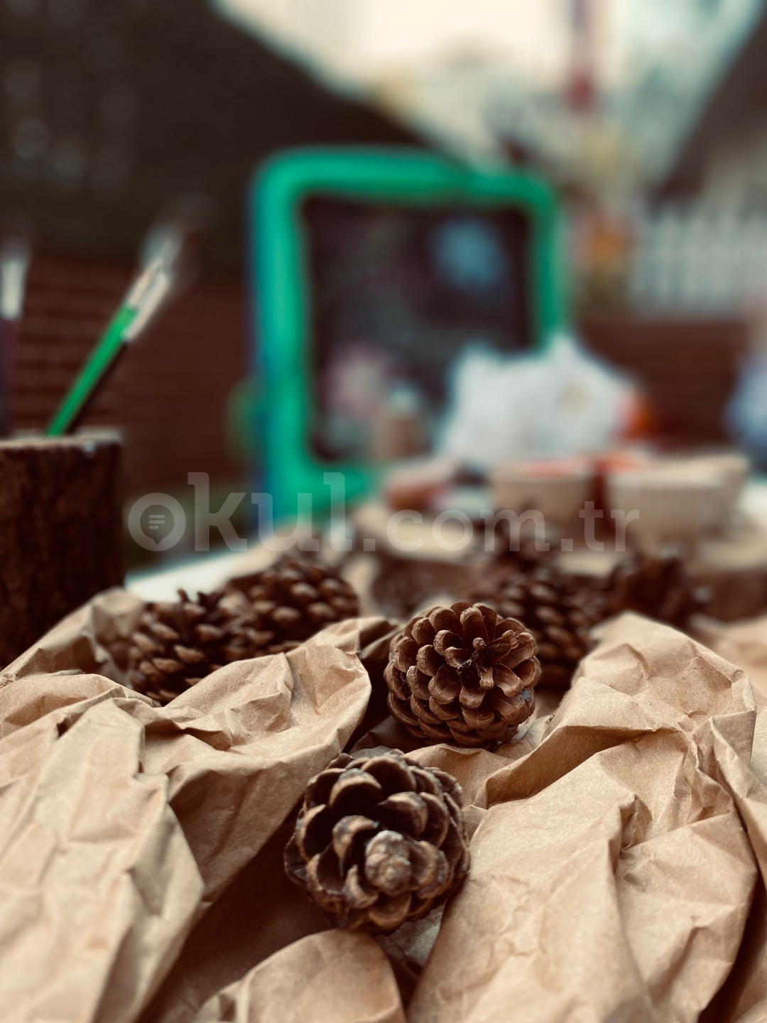 Özel Bağcılar Sihirli Deniz Yıldızı Anaokulu - 20