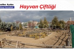 Özel Nesibe Aydın Okulları Gölbaşı Anadolu Lisesi - 14