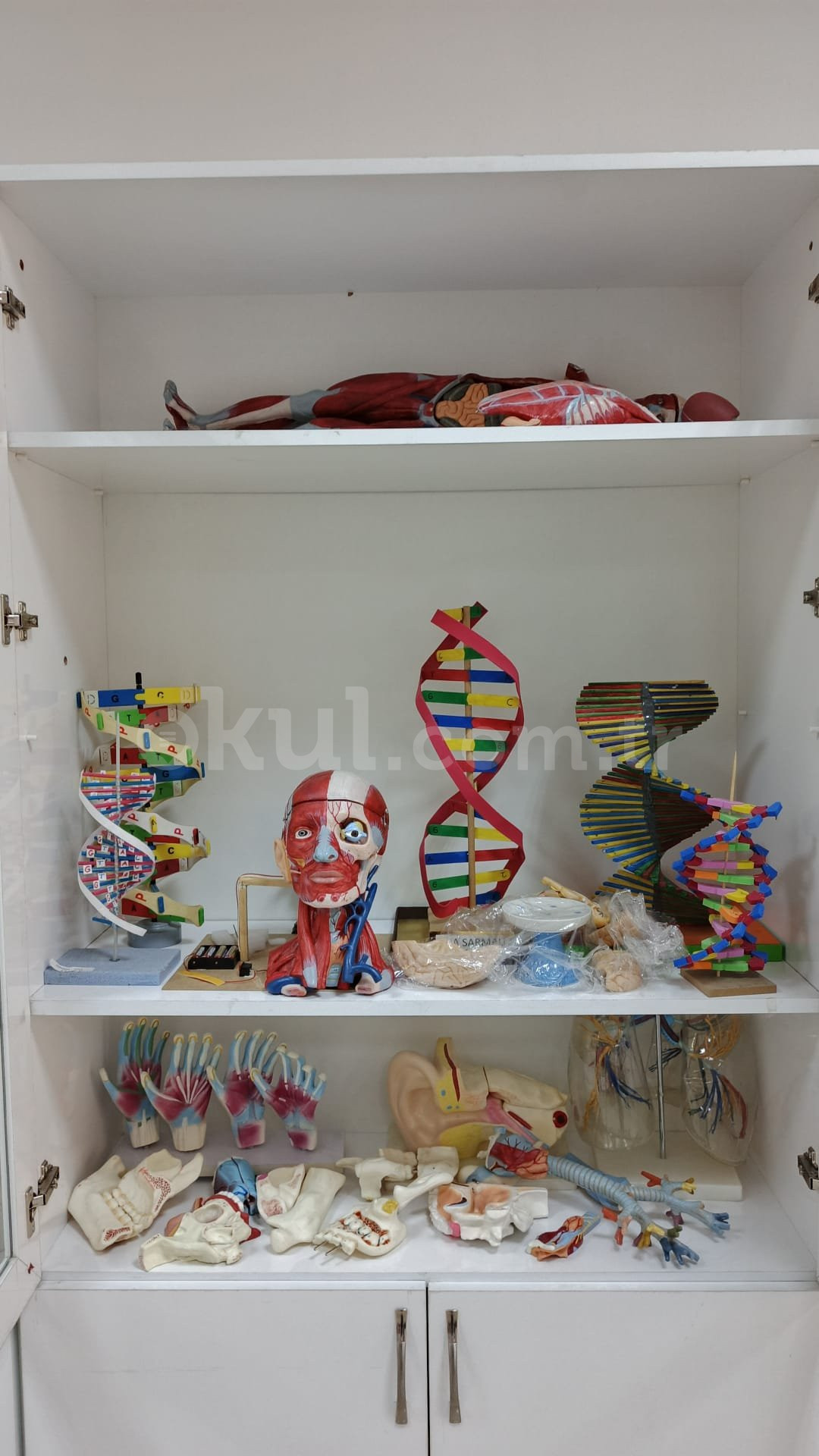 Özel Ankara Darüşşifa Sincan Anadolu Sağlık Meslek Lisesi - 26