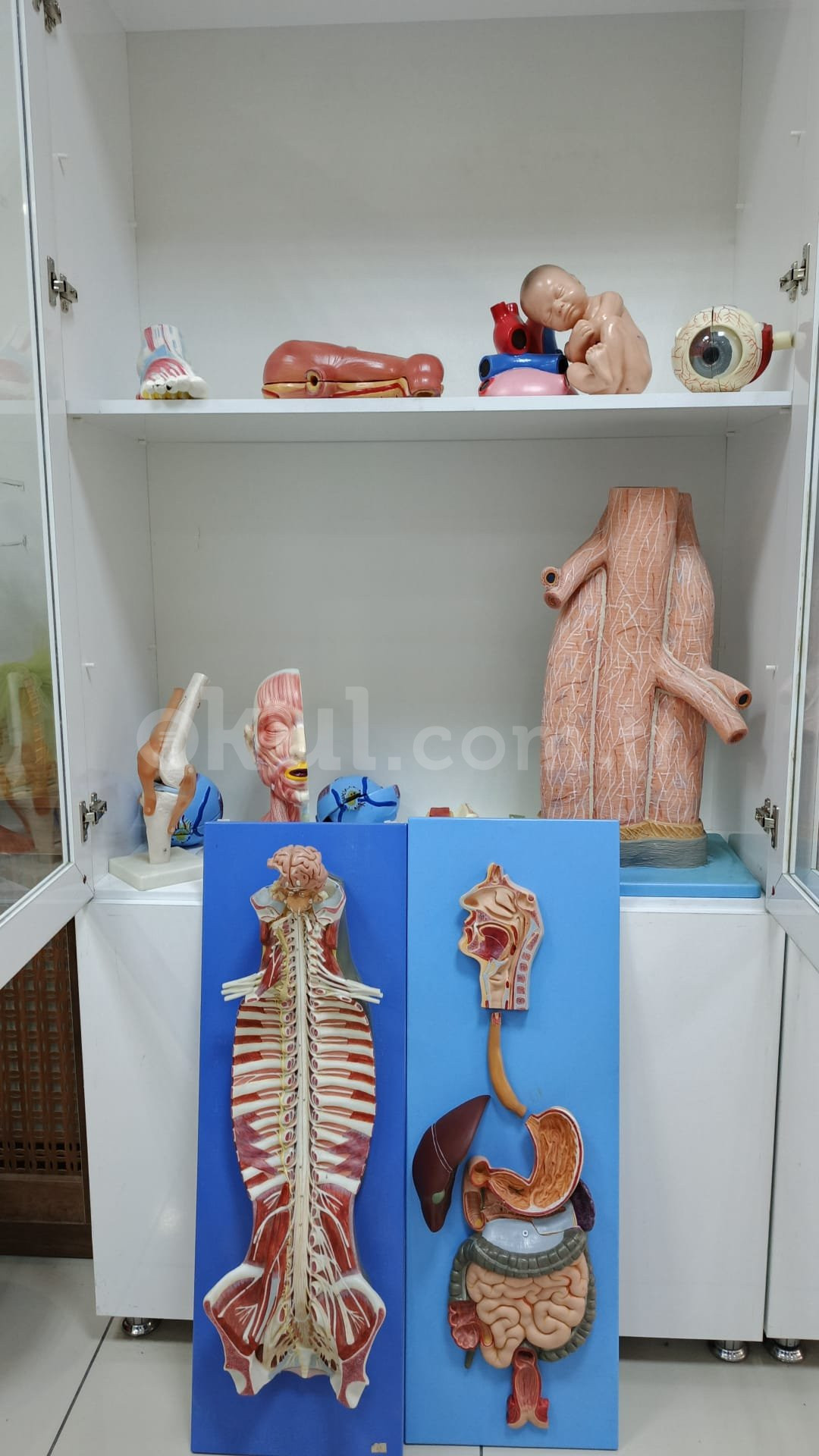 Özel Ankara Darüşşifa Sincan Anadolu Sağlık Meslek Lisesi - 24
