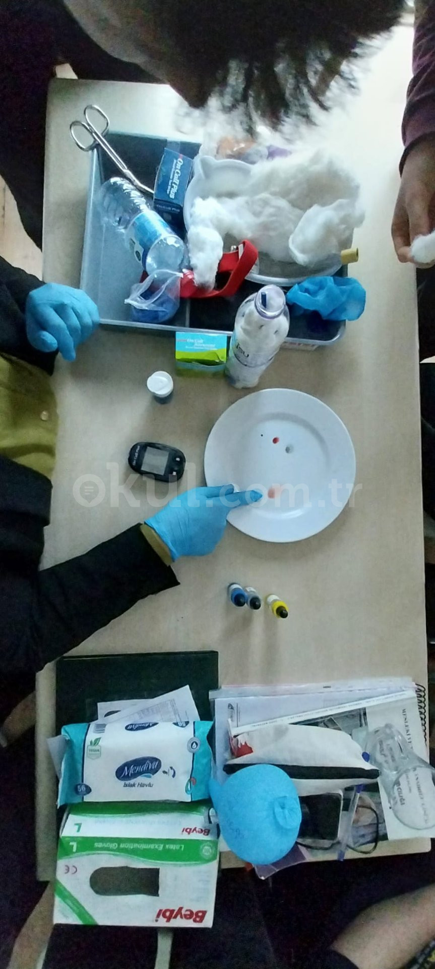 Özel Ankara Darüşşifa Sincan Anadolu Sağlık Meslek Lisesi - 22