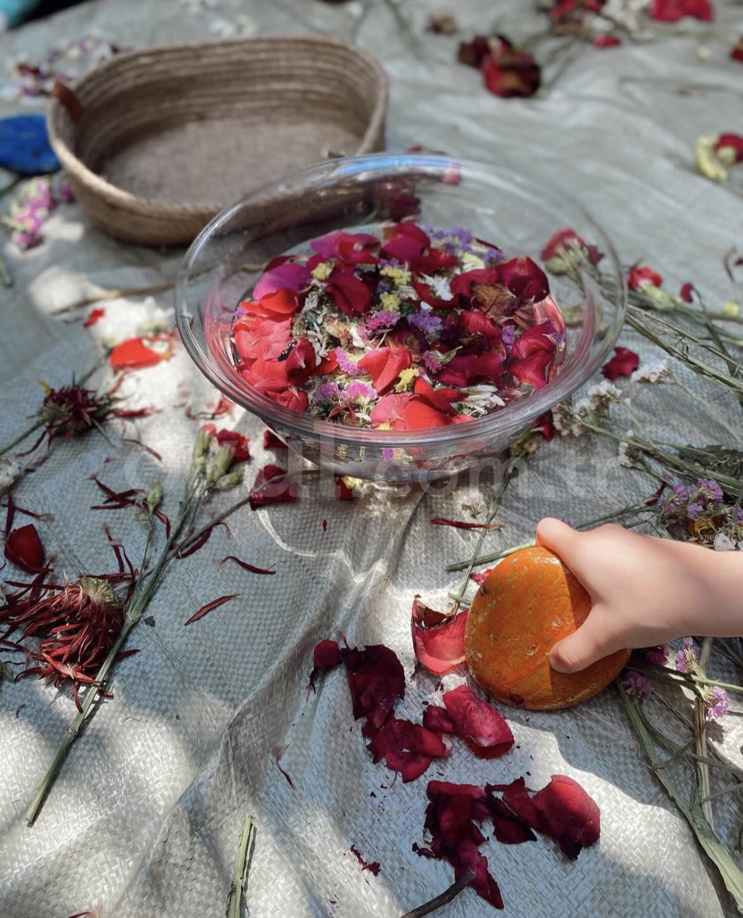 Özel Nalan Öğretmenim Anaokulu - 37