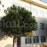 Adalar İmam Hatip Lisesi