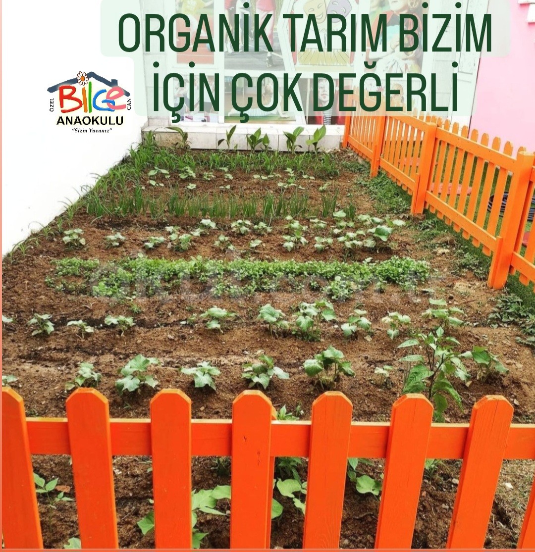 Özel Bilgecan Anaokulu - 20