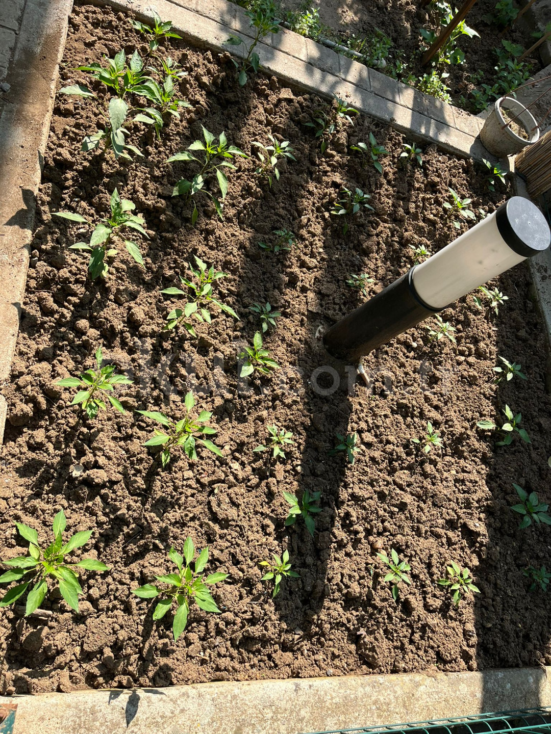 Özel Laden Anaokulu - 6