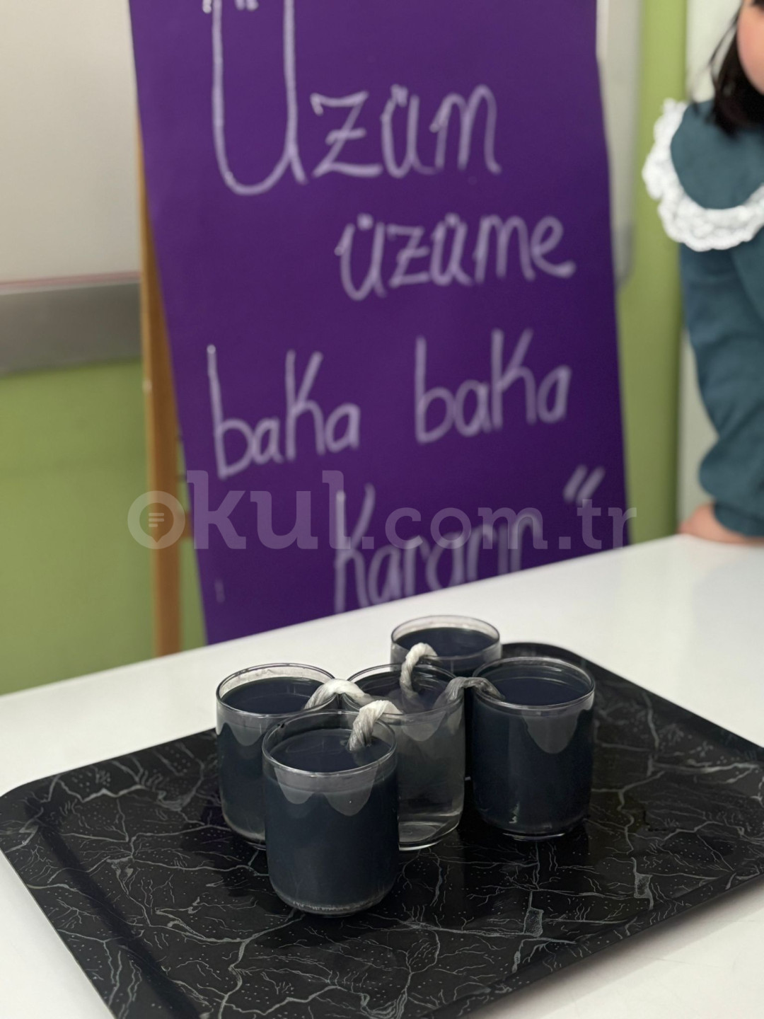 Özel Kindergarten Academy College Anaokulu - 22