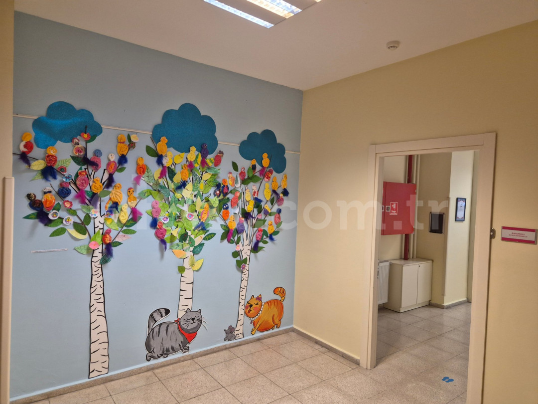 Özel Bahçeşehir Neslin Değişen Sesi Okulları Anaokulu - 29