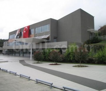 Genel Bakış