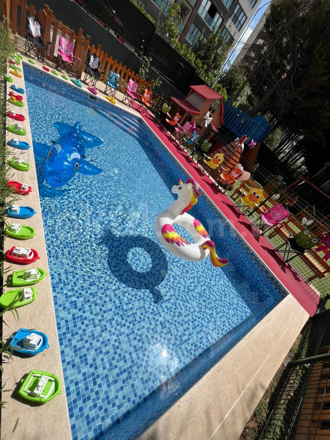 Özel Pinokyo Çocuk Anaokulu - 31