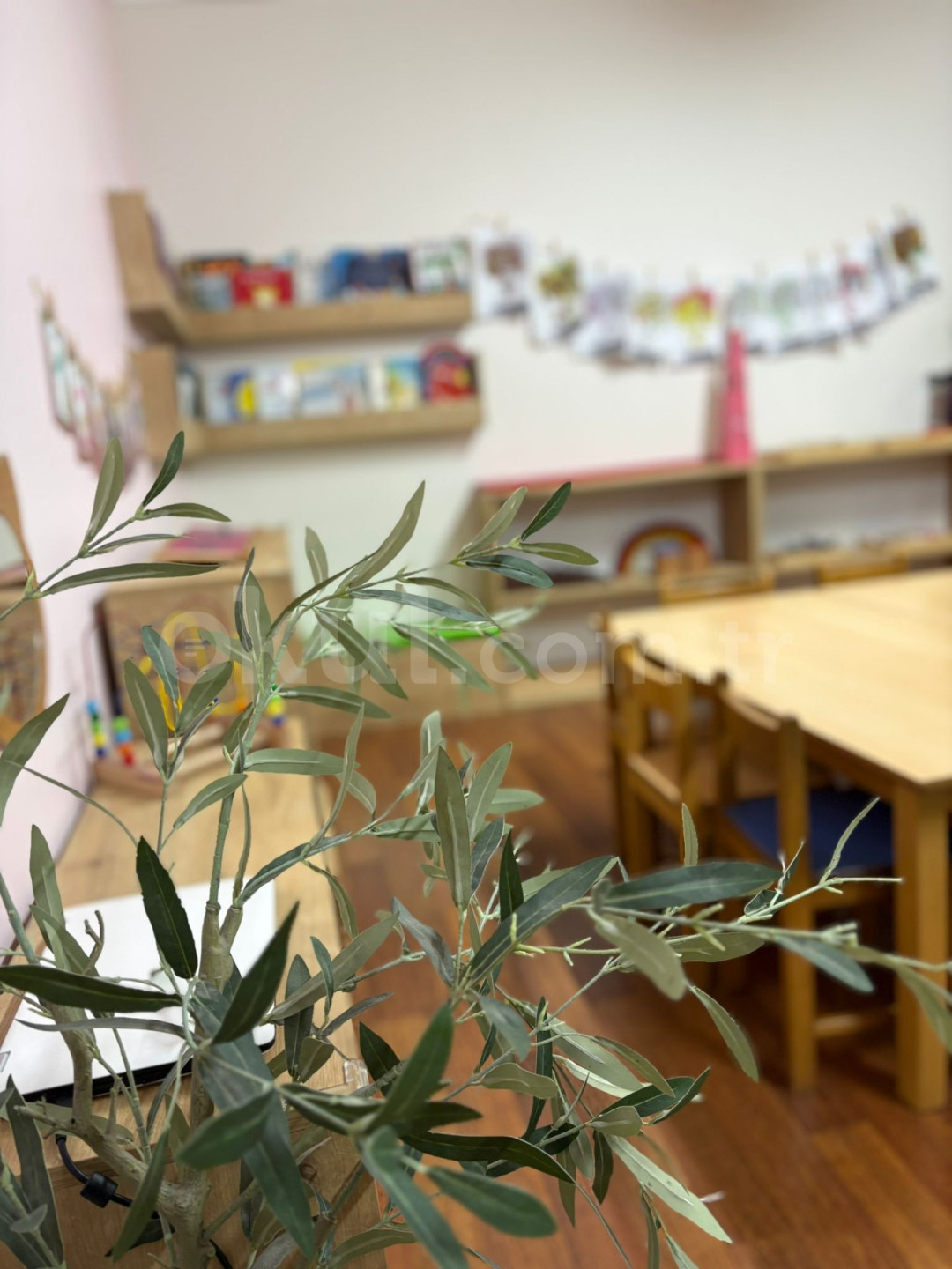Özel Zeytin Ağacı Montessori Anaokulu - 9