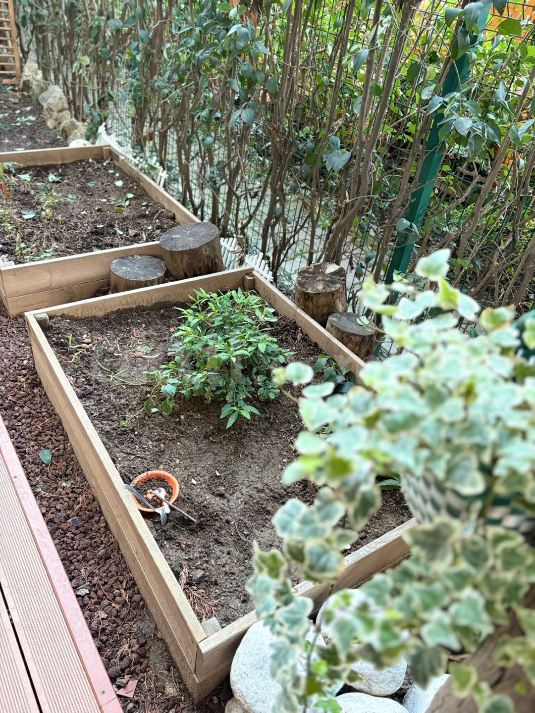 Özel Zeytin Ağacı Montessori Anaokulu - 3